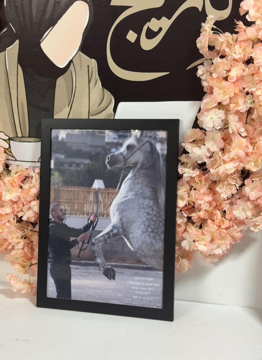 طباعة صور بجودة عالية A3